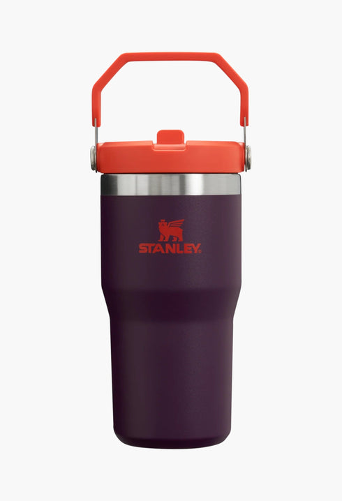 Plum - The IceFlow™ Flip Straw Tumbler | 20 OZ - GLAM MODA